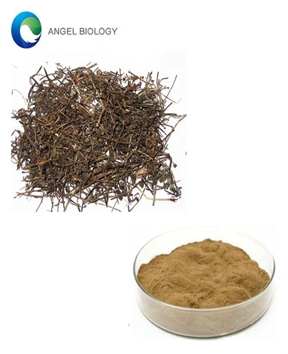 How Does Hedyotis Diffusa Extract Powder Compare to Other Herbal Extracts?